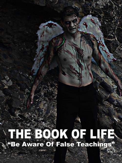 Movie poster for The Book of Life (2017)