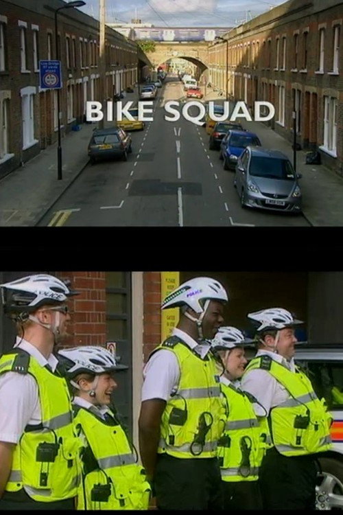 Movie poster for Bike Squad (2008)