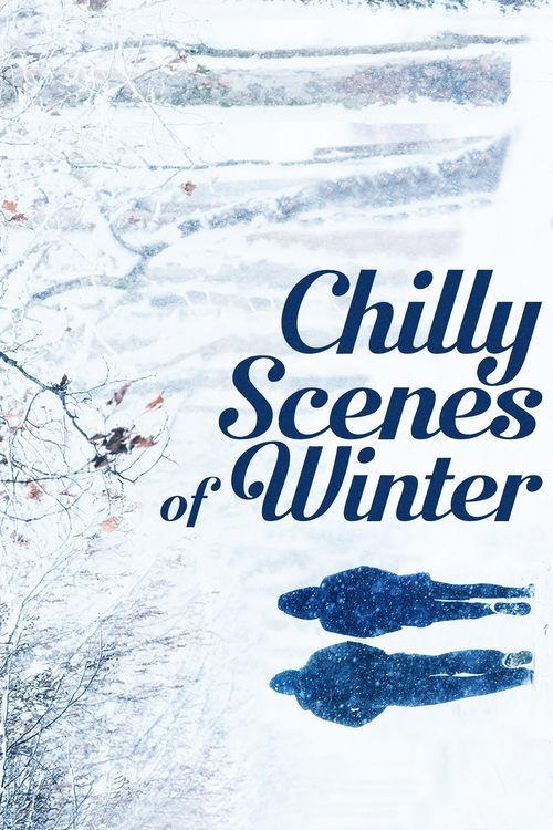 Movie poster for Chilly Scenes of Winter (1979)
