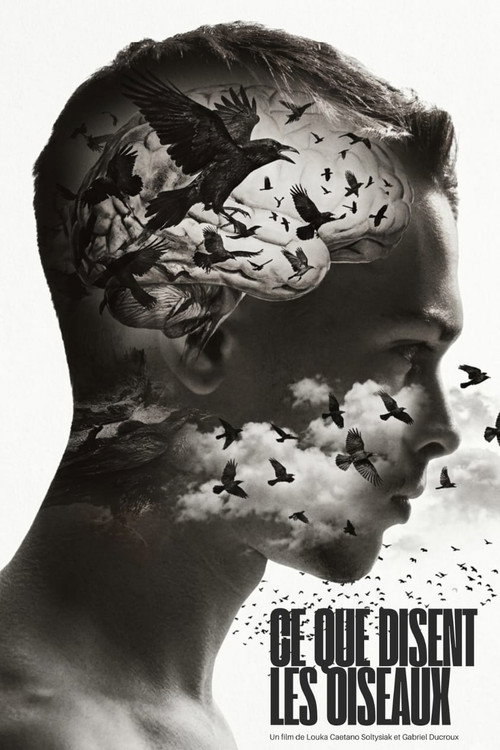 Movie poster for Ce que disent les Oiseaux (2026)