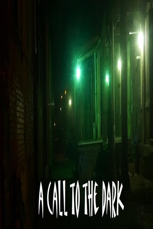 Movie poster for A Call to the Dark (2017)