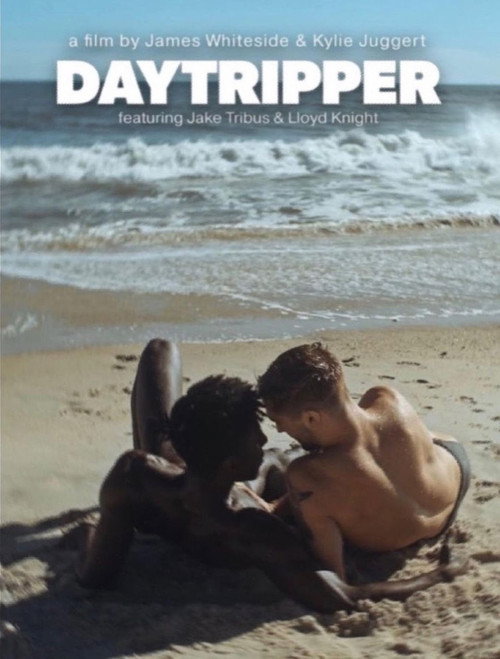 Movie poster for Daytripper (2023)