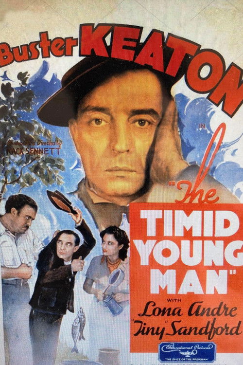 Movie poster for The Timid Young Man (1935)