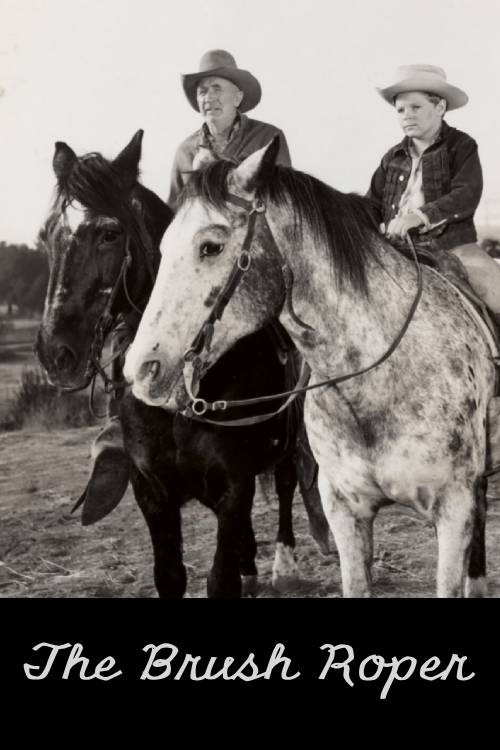Movie poster for The Brush Roper (1955)