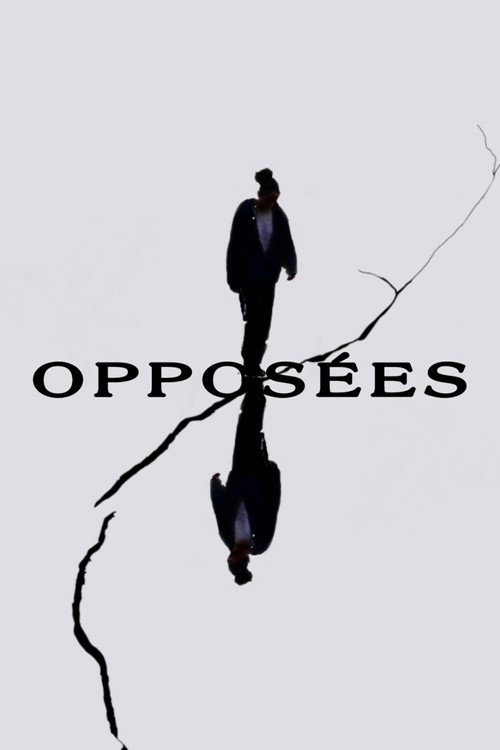 Movie poster for Opposites (2022)