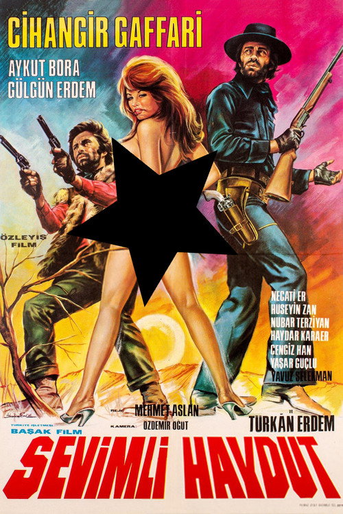 Movie poster for Sevimli Haydut (1971)