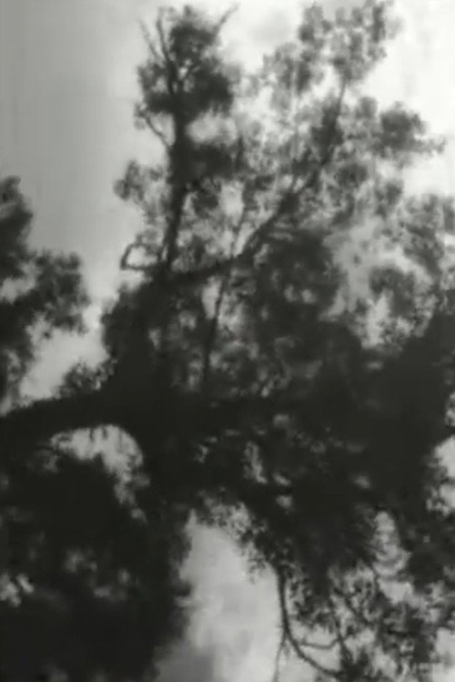 Movie poster for Clouds (2002)