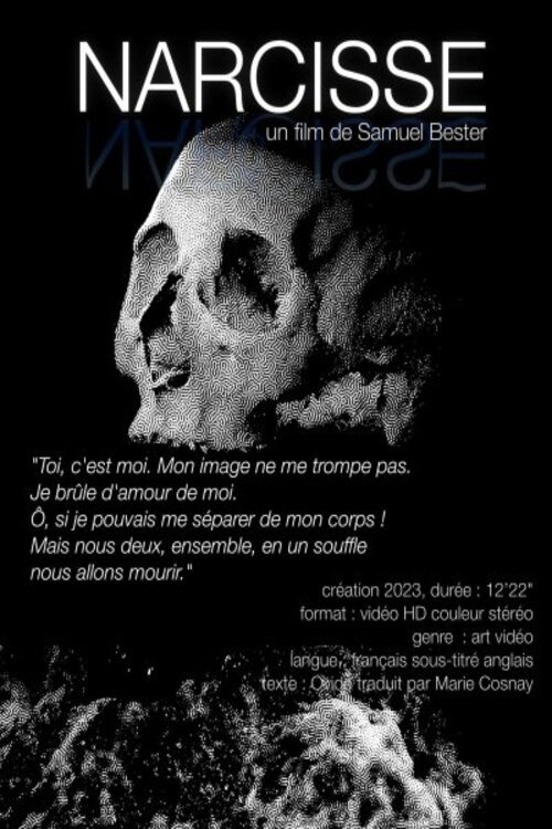 Movie poster for Narcisse (2024)