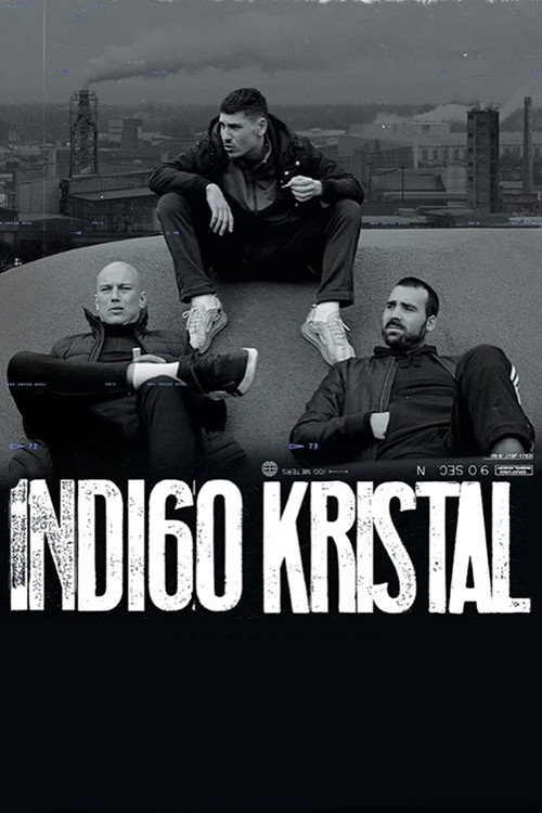 Movie poster for Indigo Crystal (2023)