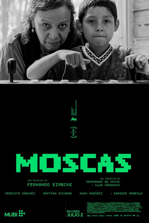 Movie poster for Flies (2026)