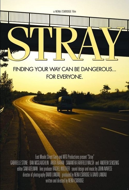 Movie poster for Stray (2015)