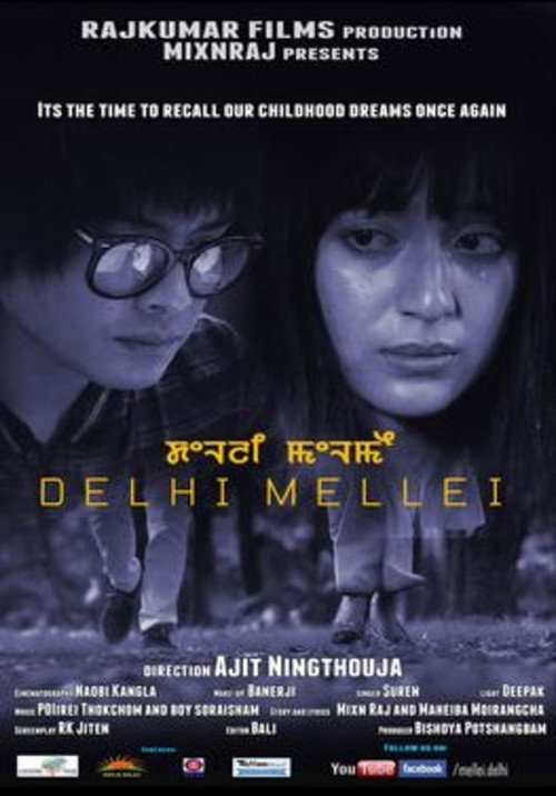 Movie poster for Delhi Mellei (2014)