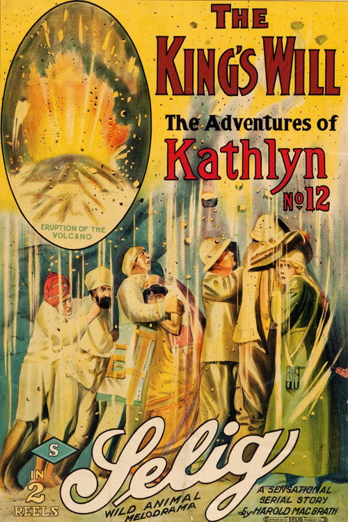 Movie poster for The King's Will (1914)