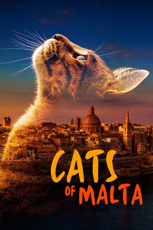 Movie poster for Cats of Malta (2022)