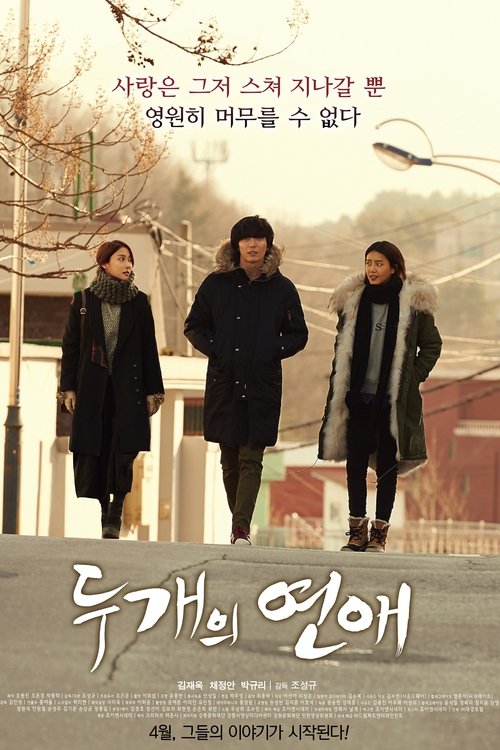 Movie poster for Two Rooms, Two Nights (2016)