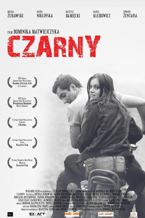 Movie poster for Czarny (2008)