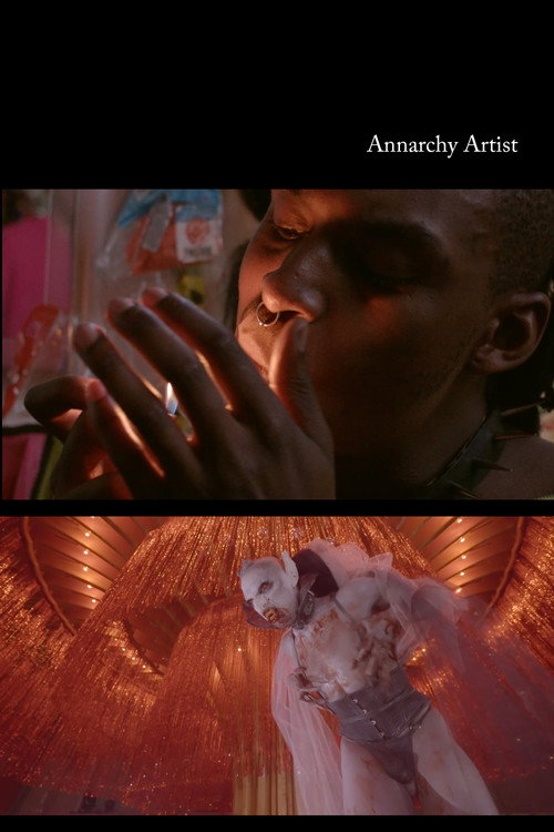 Movie poster for Annarchy Artist (2025)