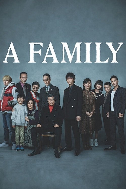 Movie poster for A Family (2021)