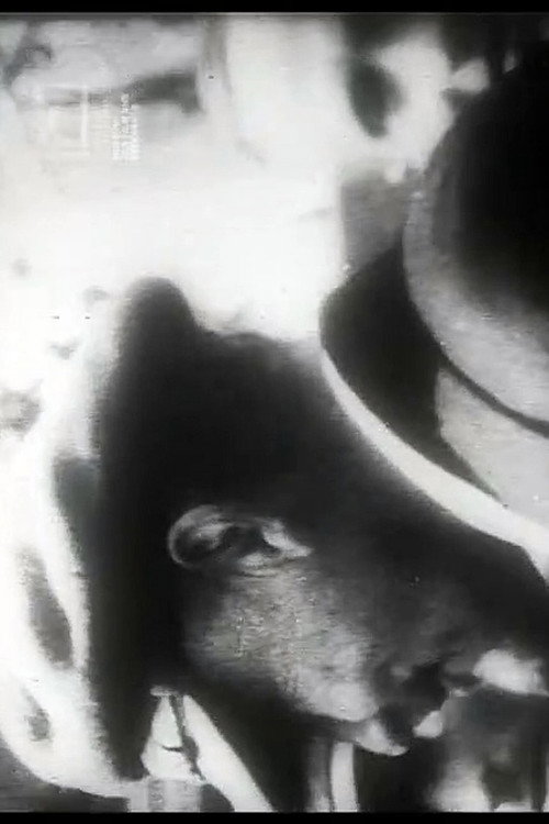 Movie poster for Uns mahnt ein November (1958)