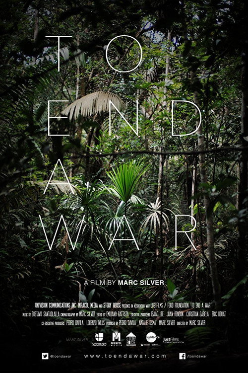 Movie poster for To End a War (2017)