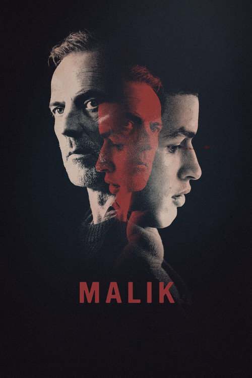 Movie poster for Malik (2017)