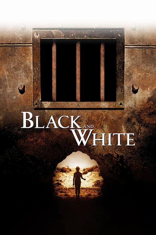 Movie poster for Black and White (2002)
