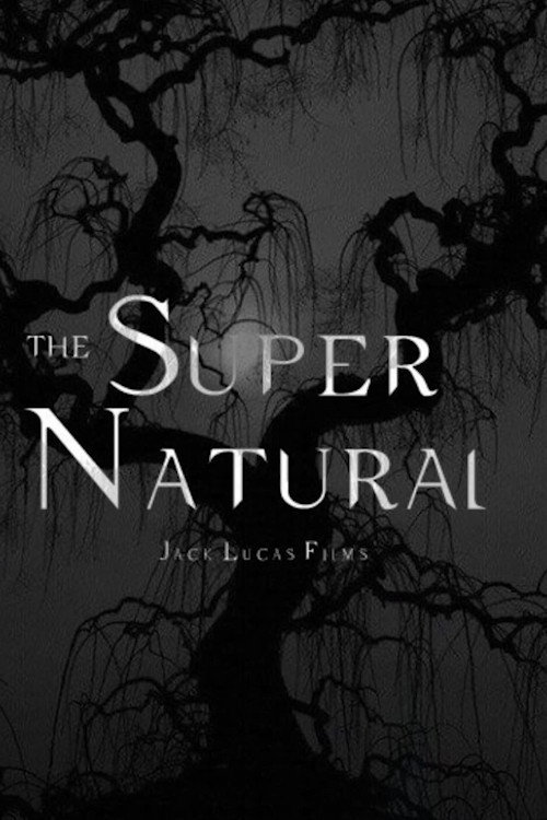 Movie poster for The Supernatural (2019)