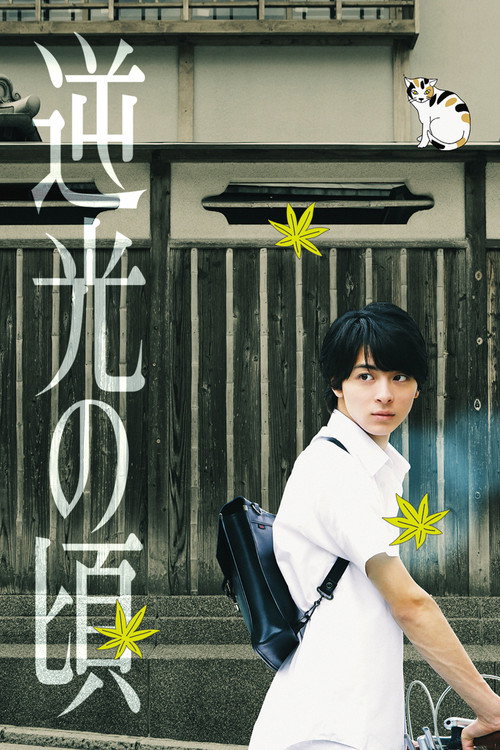 Movie poster for Lights of Kyoto (2017)