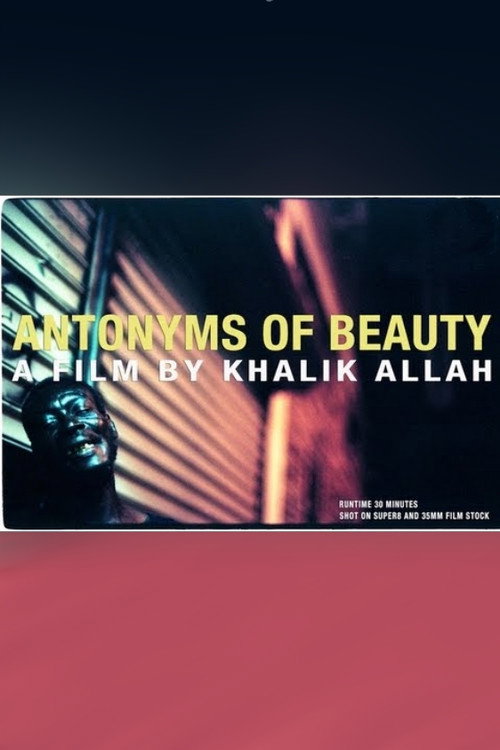 Movie poster for Antonyms of Beauty (2013)