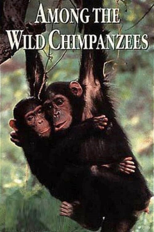 Movie poster for Among the Wild Chimpanzees (1984)
