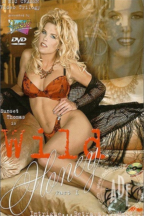 Movie poster for Wild Honey Part I (1999)