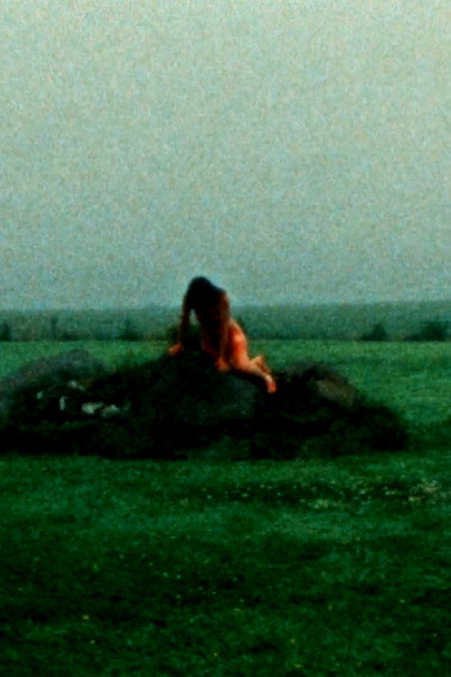 Movie poster for INT. LANDSCAPES (2018)