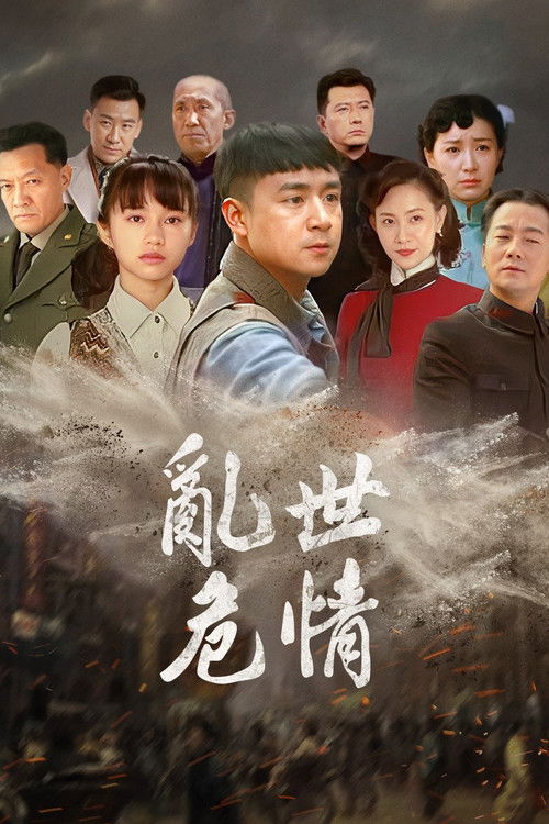 乱世危情 poster