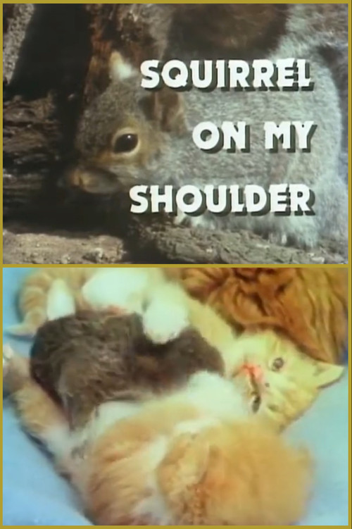 Movie poster for Squirrel on My Shoulder (1979)