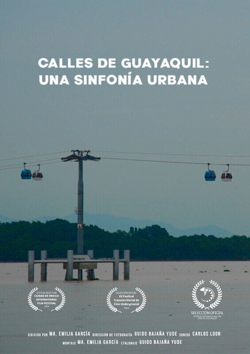 Movie poster for Calles de Guayaquil: Una sinfonía urbana (2024)