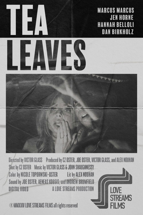 Movie poster for Tea Leaves (2025)