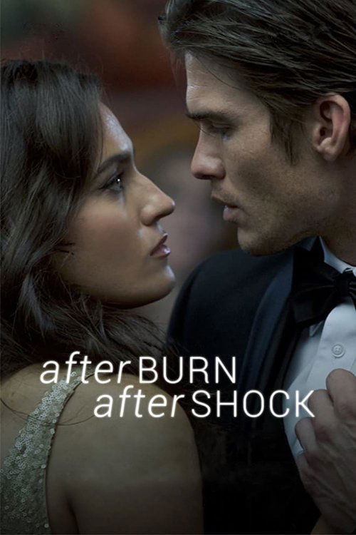 Movie poster for Afterburn/Aftershock (2017)