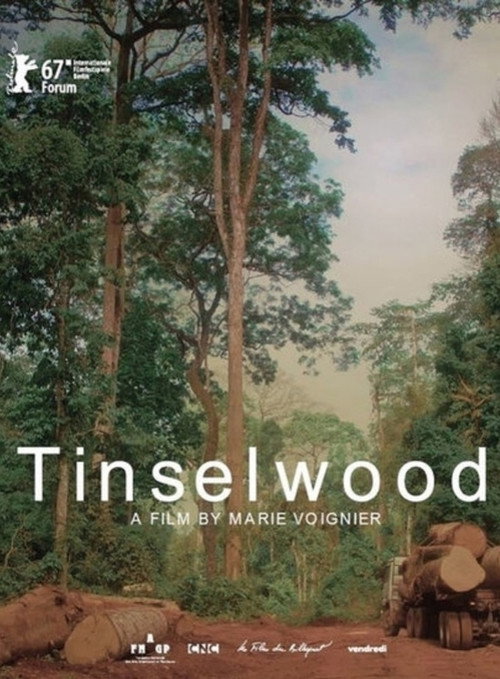 Movie poster for Tinselwood (2017)