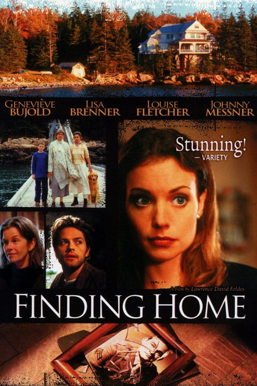 Movie poster for Finding Home (2003)