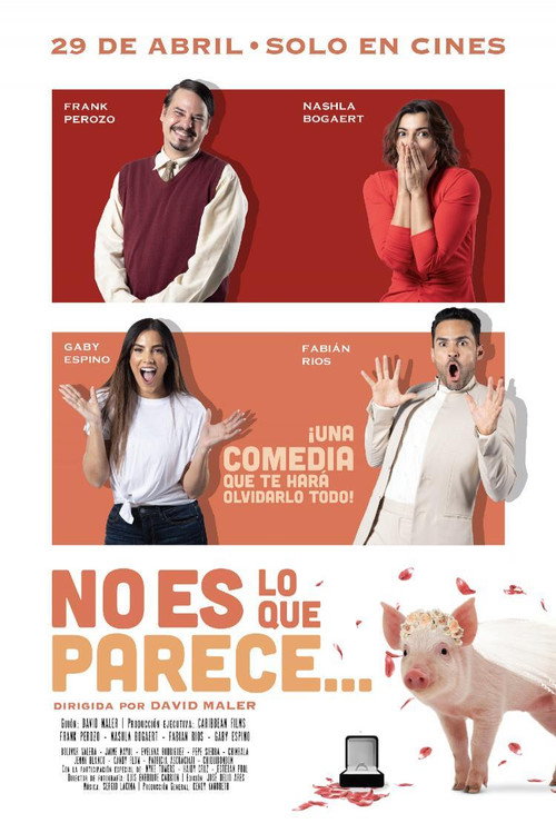 Movie poster for No es lo que parece (2021)