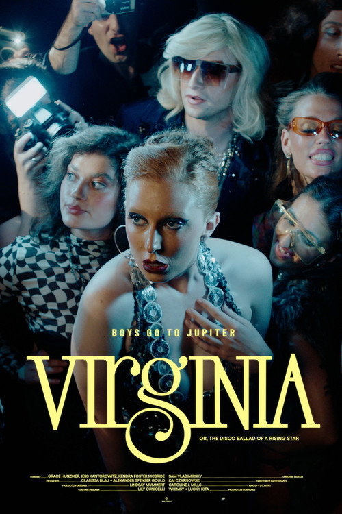 Movie poster for Virginia