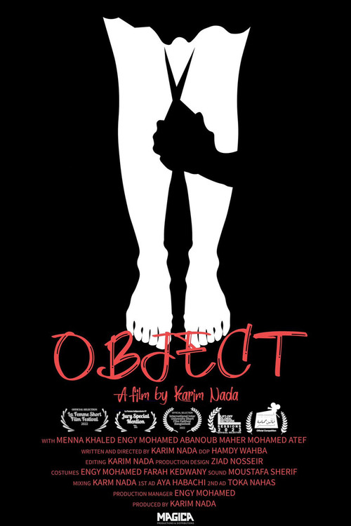 Movie poster for Object (2022)
