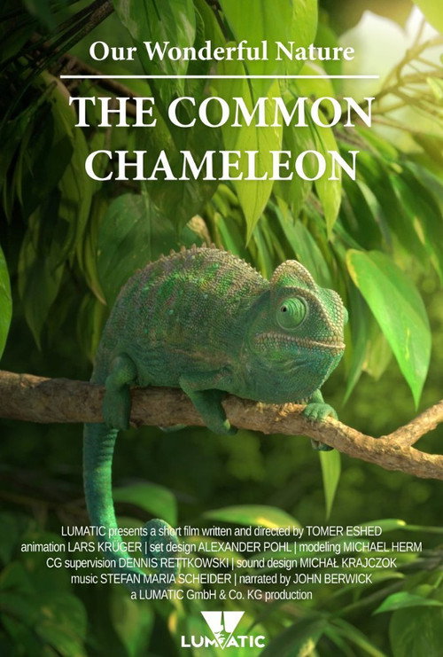 Movie poster for Our Wonderful Nature - The Common Chameleon (2016)