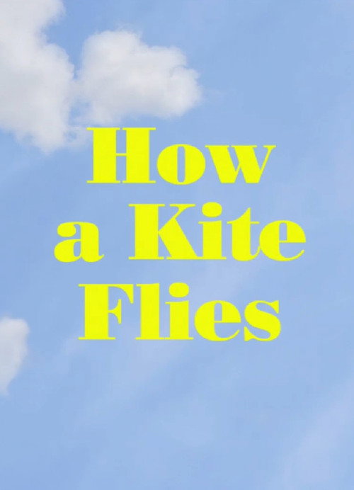 Movie poster for How a Kite Flies (2017)