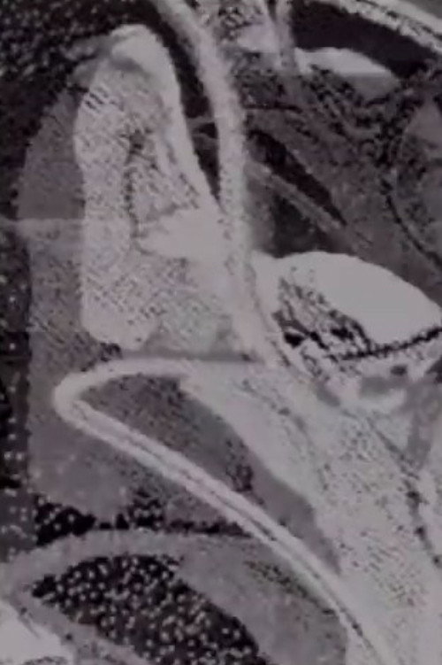 Movie poster for Coltello nella pancia (1993)