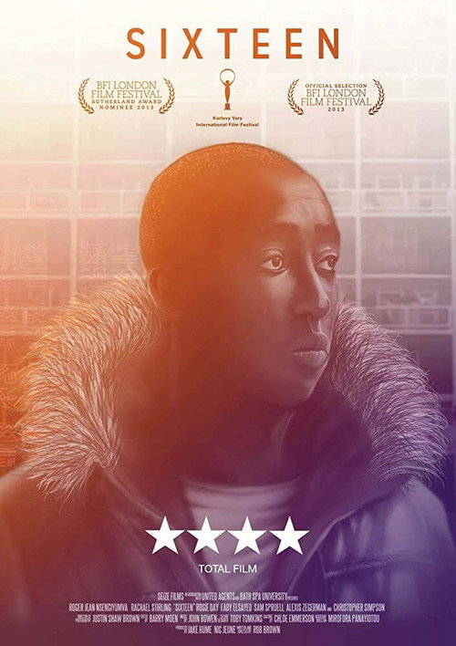 Movie poster for Sixteen (2013)