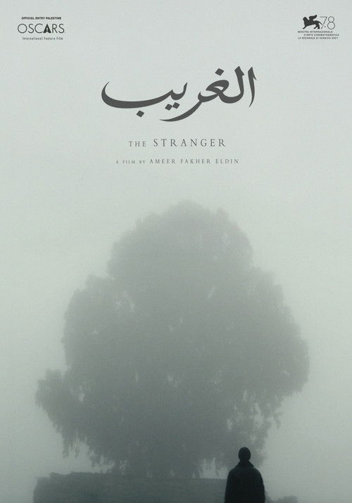 Movie poster for The Stranger (2021)