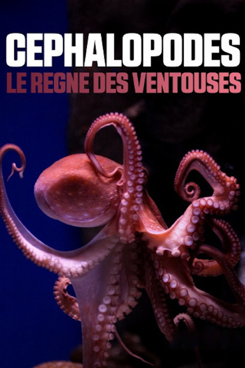 Movie poster for Cephalopods: The Reign of Suckers (2020)