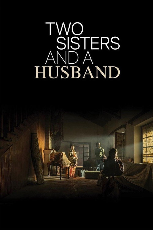 Movie poster for Two Sisters And A Husband (2022)