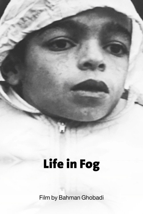 Movie poster for Life in Fog (1999)